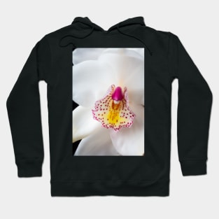 White Orchid Close up Hoodie